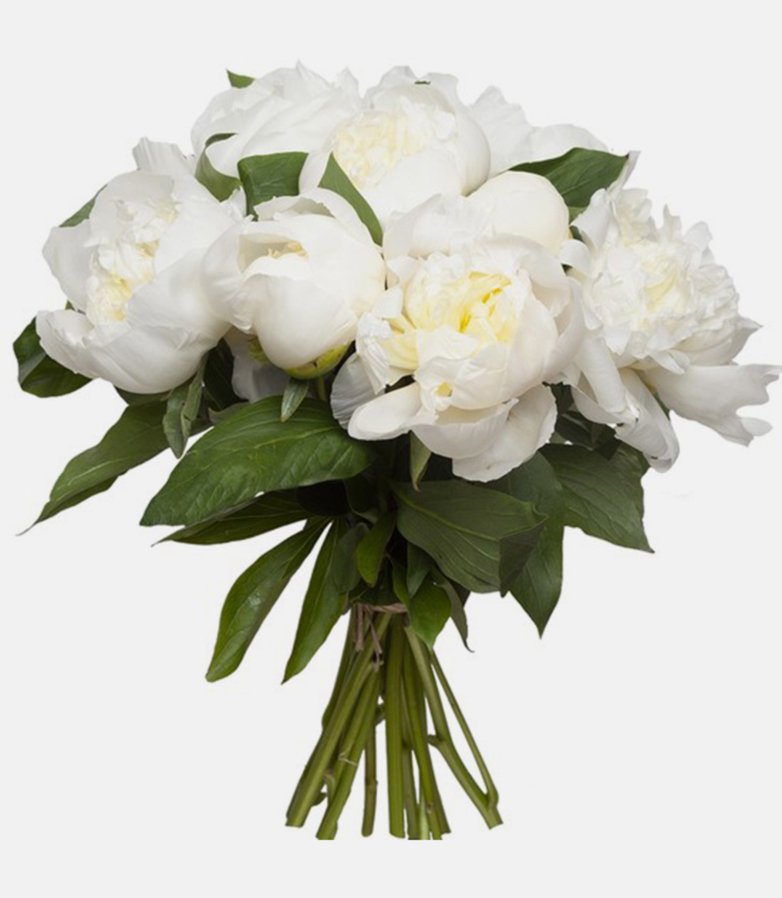 Fleurs artificielles bouquet pivoine creme